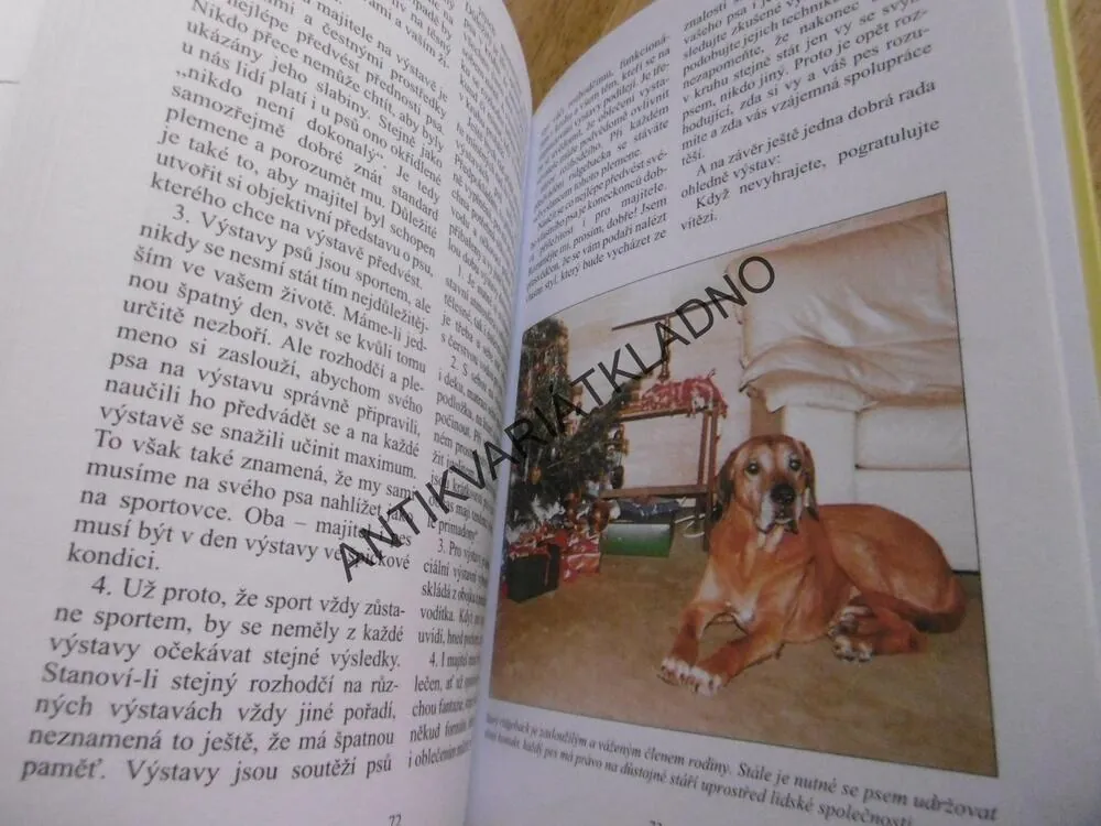 RHODESKÝ RIDGEBACK, PES, VÝCHOVA, PÉČE