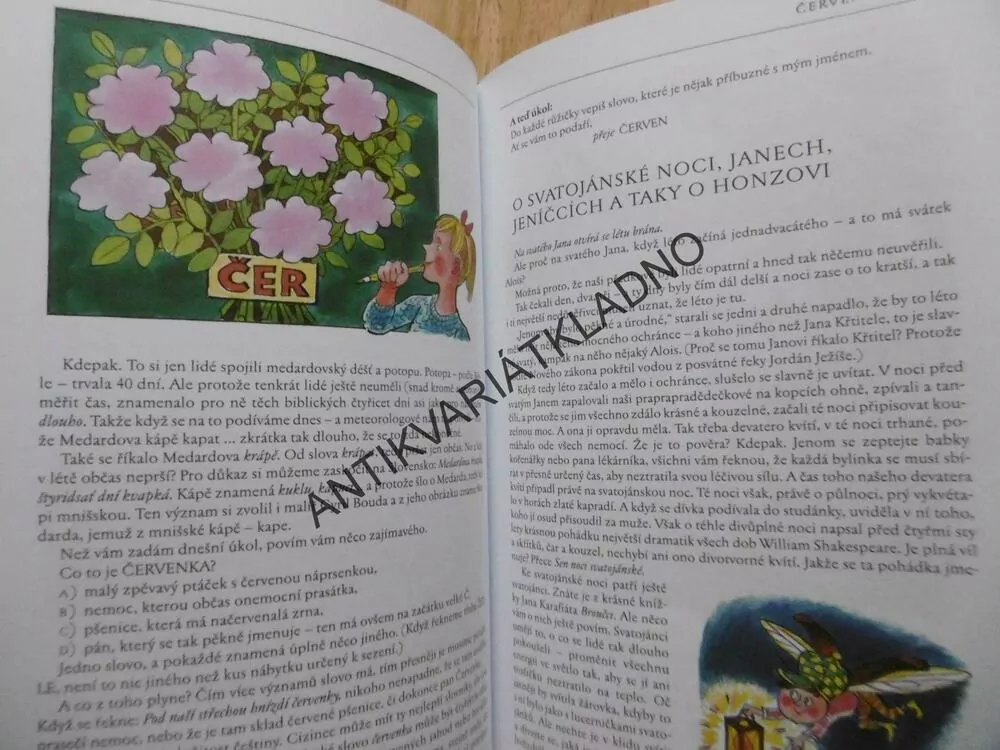 BAREVNÝ ROK, BOŽENA ŠIMKOVÁ, ALENA JANOUŠKOVÁ, **an