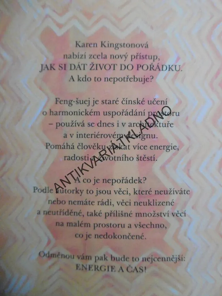 ZBAVTE SE NEPOŘÁDKU S FENG-ŠUEJ, KAREN KINGSTONOVÁ