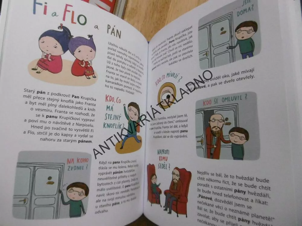 FI A FLO, ZEMANOVÁ, BERGMANNOVÁ, SCIFI PŘÍBĚH O SKLOŇOVÁNÍ PODSTATNÝCH JMEN