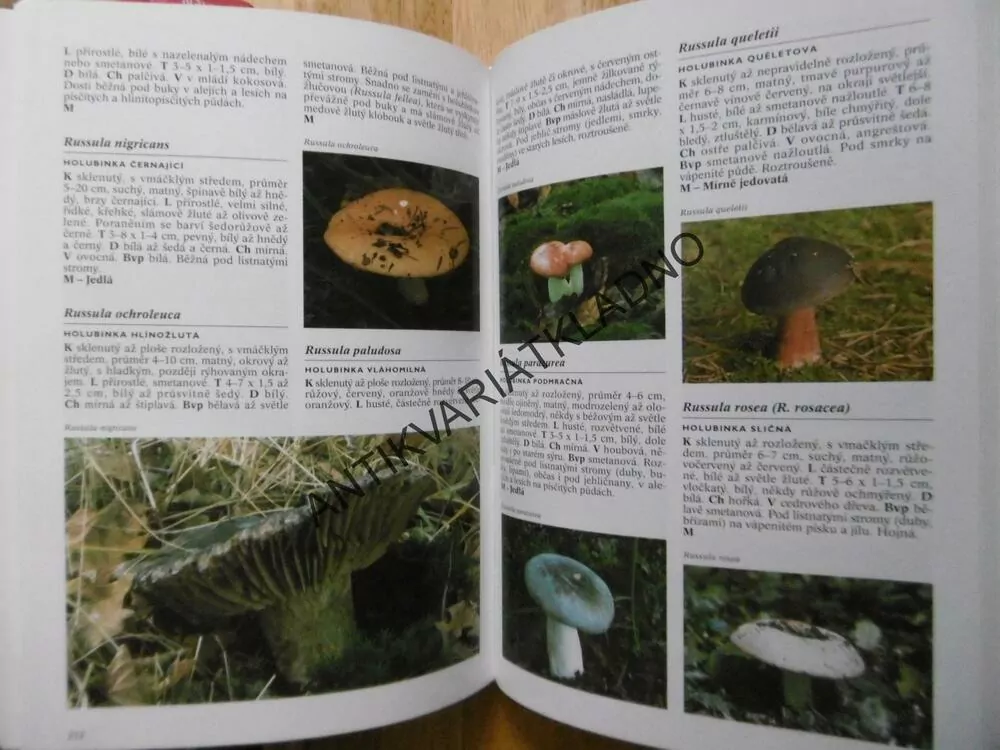 ENCYKLOPEDIE HUB, GERRI J.KEIZER, HOUMY, MYKOLOGIE, **an