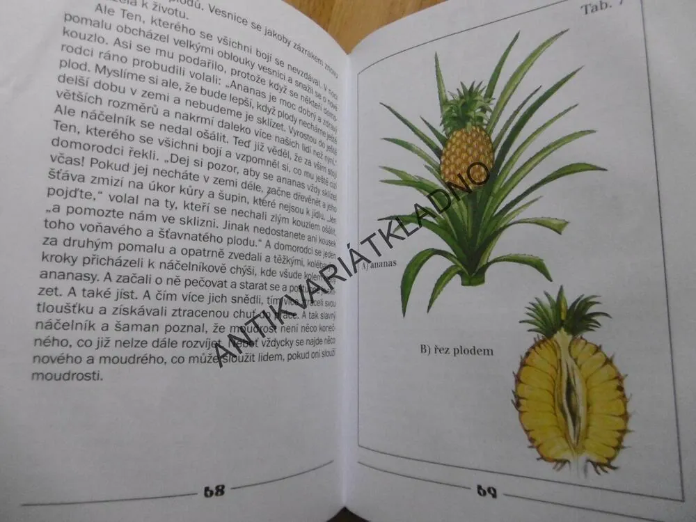 POHÁDKY Z AFRIKY, LUDĚK FIALA, EDITA PLICKOVÁ, **an
