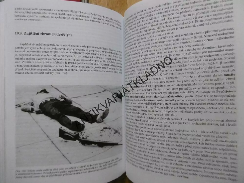 JAK PŘEŽÍT V BETONOVÉ DŽUNGLI, STREET SURVIVAL, RONALD J. ADAMS