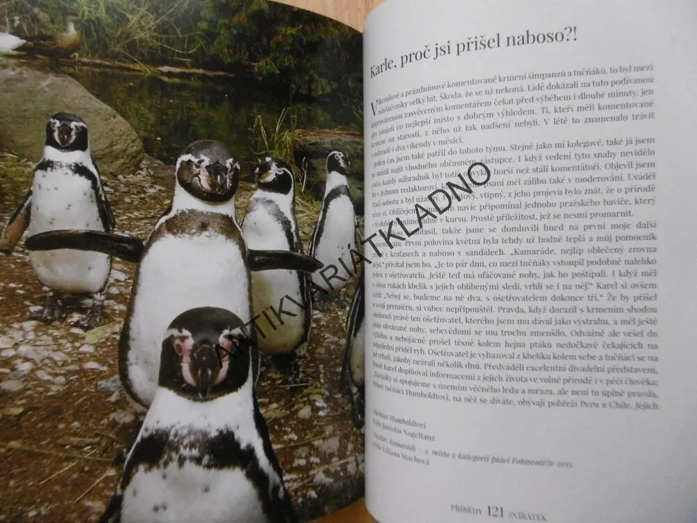 PŘÍBĚHY ZVÍŘÁTEK, ZOOLOGICKÁ ZAHRADA JAK JI NEZNÁTE, FRANTIŠEK HYKEŠ