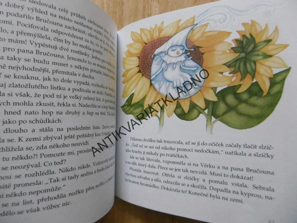 PŘÍHODY KAPKY KATKY, PETRA VAISOVÁ, PAVEL DOLEJŠÍ, **an