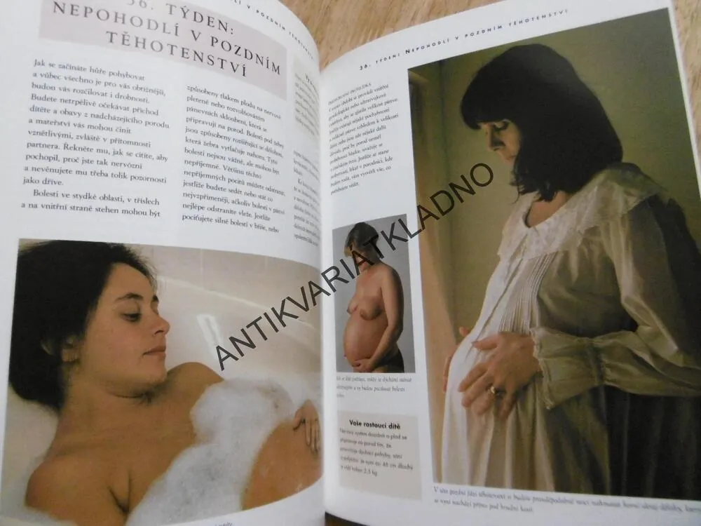 TĚHOTENSTVÍ, TÝDEN PO TÝDNU, PRAKTICKÁ PŘÍRUČKA, ALISON MACKONOCHIEOVÁ, **an