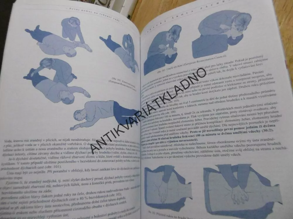 BEZPEČNĚ NA TEKOUCÍ VODĚ, VODÁCKÁ ŠKOLA ZÁCHRANY, PETR PTÁČEK