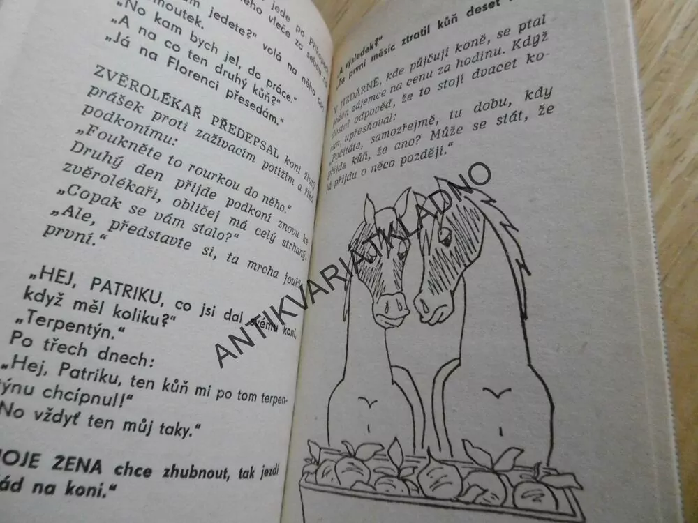 ANEKDOTY 40. S NĚMOU TVÁŘÍ, KARLA PEJMLOVÁ, **an