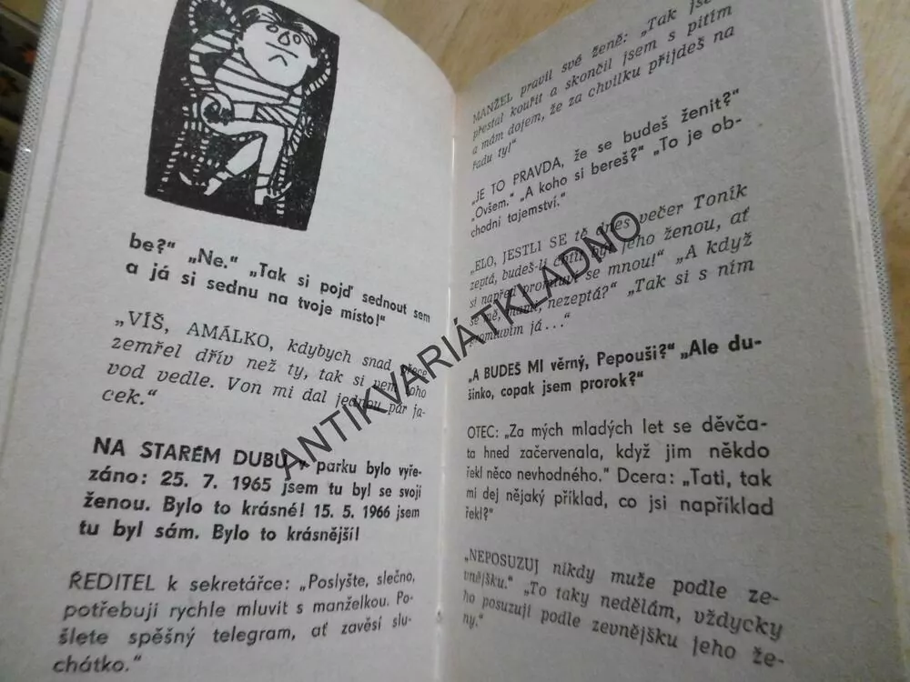 ANEKDOTY 9. ŽENA V ZRCADLE, JIŘÍ ŠLITR, **an