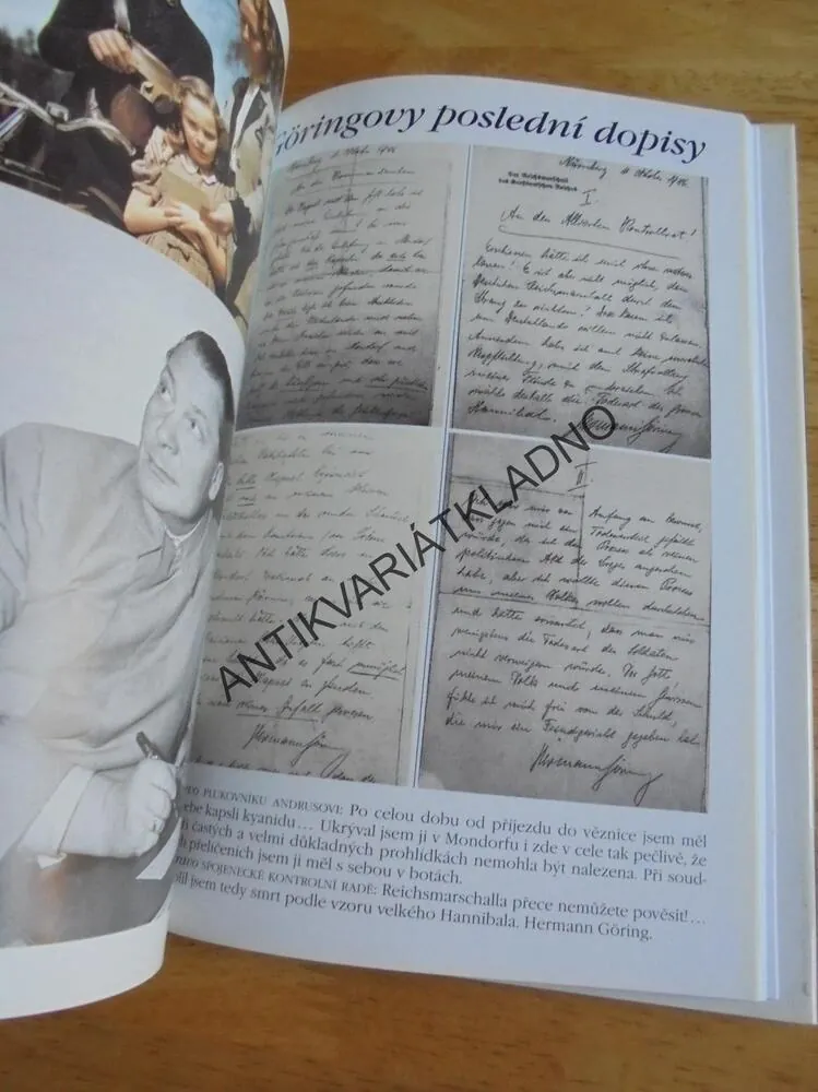 NORIMBERK, POSLEDNÍ BITVA, VÁLKA, D. IRVING