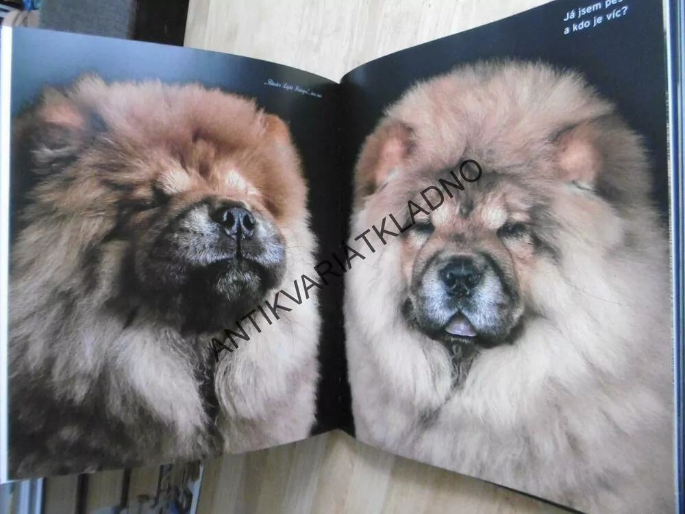 HAF! KNIHA PRO MILOVNÍKY PSŮ, ARALDO DE LUCA, **an