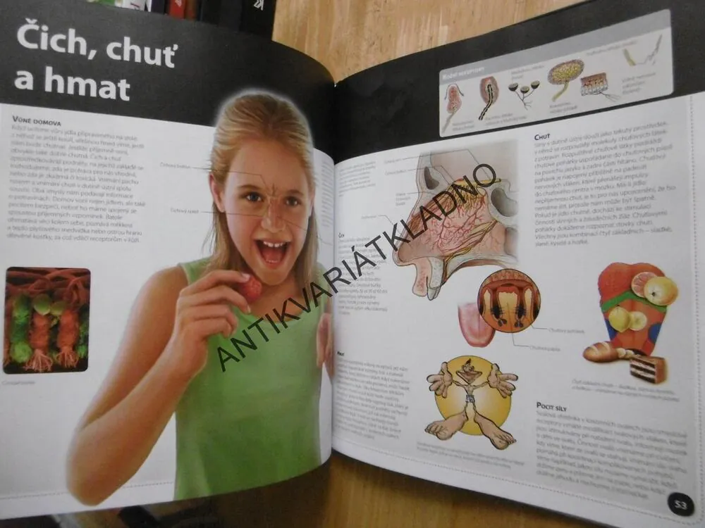 LIDSKÉ TĚLO, VELKÁ ENCYKLOPEDIE S 3D OBRÁZKY, bez 3D BRÝLÍ, **an