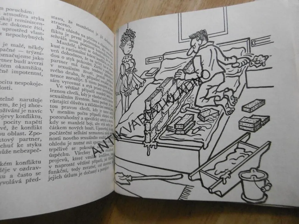 PRVNÍ POMOC PŘI NEHODÁCH MANŽELSKÝCH, PLZÁK, NEPRAKTA, 1967