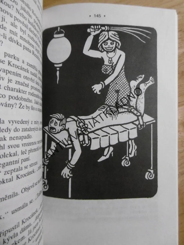 RAKEV DO DOMU, MIROSLAV ŠVANDRLÍK, NEPRAKTA, 1991, **an