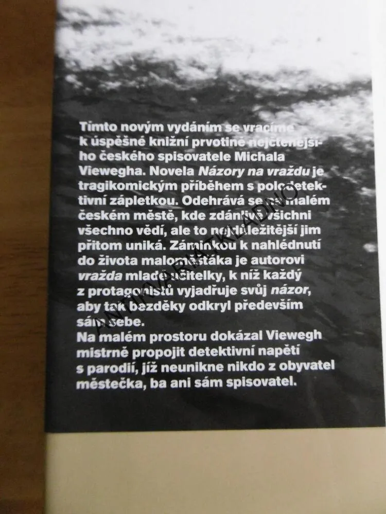 NÁZORY NA VRAŽDU, MICHAL VIEWEGH