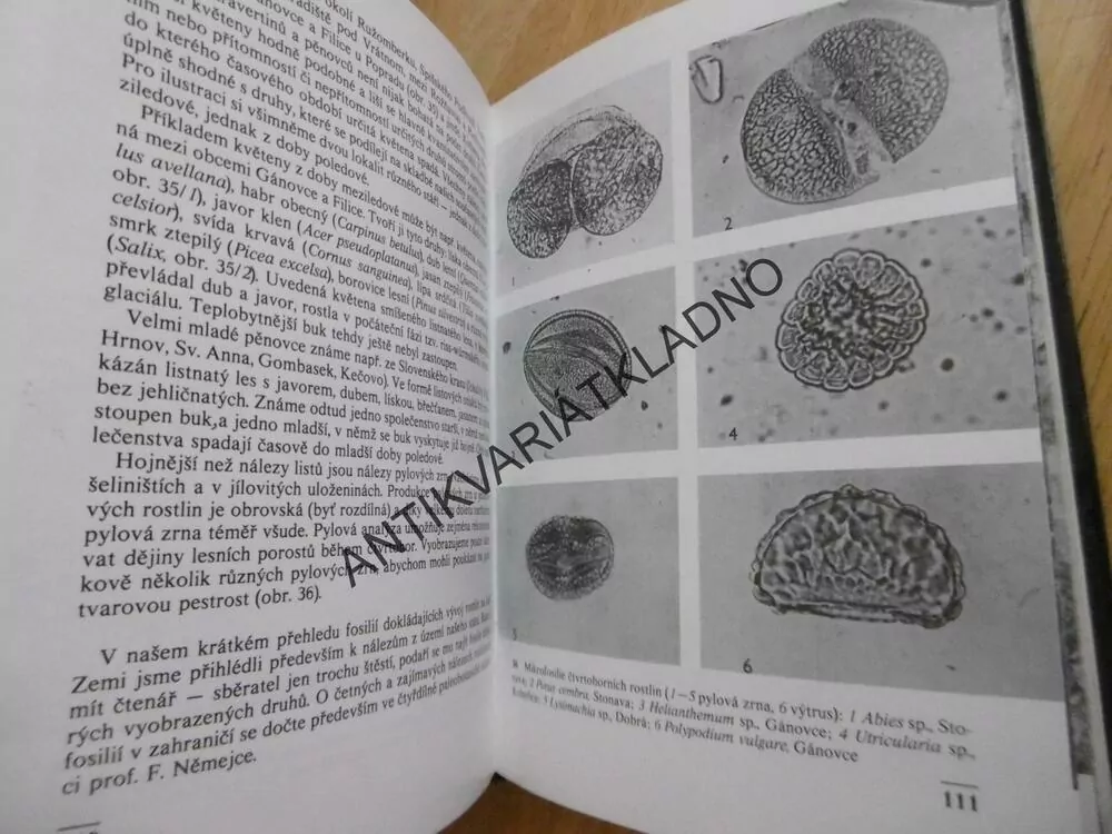 KAPESNÍ ATLAS ZKAMENĚLIN, V. HABĚTÍN, KNOBLOCH,