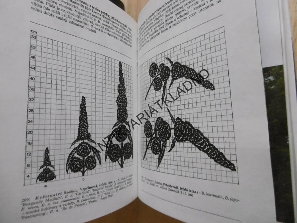 PRAKTICKÁ DENDROLOGIE 1-2, KAREL HIEKE, **an