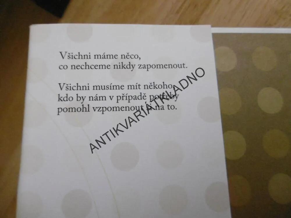 SBĚRATEL SKLENĚNEK, CECELIA AHERN, **an