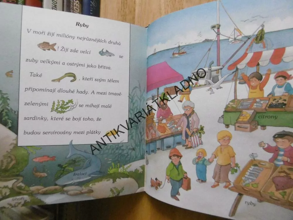 HLEDEJ SKRYTÁ SLOVÍČKA, ČTENÍ PRO PŘEDŠKOLÁKY, **an