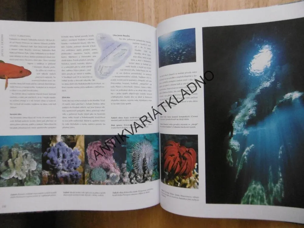 NEJZNÁMĚJŠÍ POTÁPĚČSKÁ MÍSTA NA SVĚTĚ, **an