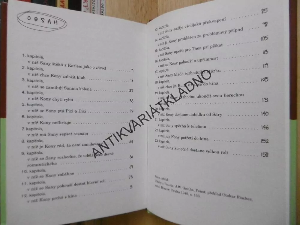 1000 DŮVODŮ, PROČ SE NELÍBAT, HORTENSE ULLRICHOVÁ, **an