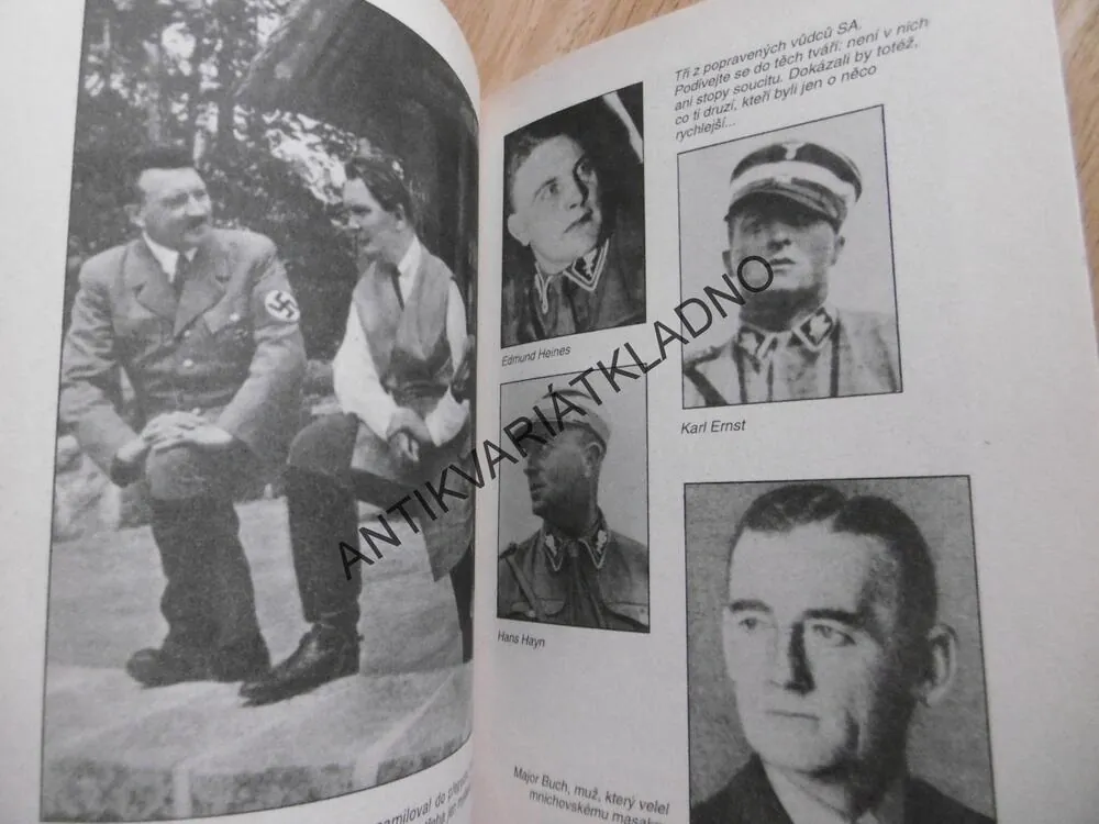 VŽDYŤ ZABÍJET JE TAK SNADNÉ, ROMAN CÍLEK, NĚMECKO 1933-34