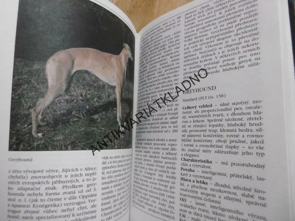 CHRTI, PES, CHOVATEL, STUCHLÝ, CÍSAŘOVSKÝ, **an