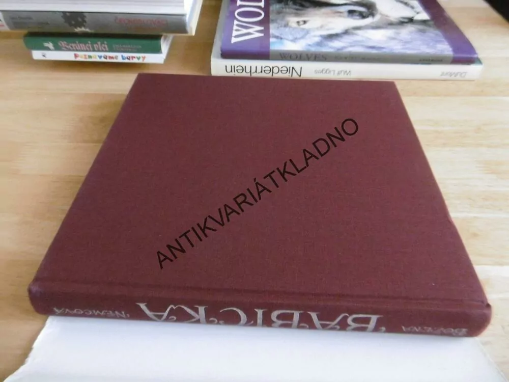 BABIČKA, BOŽENA NĚMCOVÁ, MARTIN VELÍŠEK 2006,