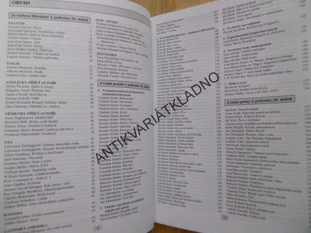 ČÍTANKA IV. K LITERATUŘE V KOSTCE PRO STŘEDNÍ ŠKOLY, SOCHROVÁ