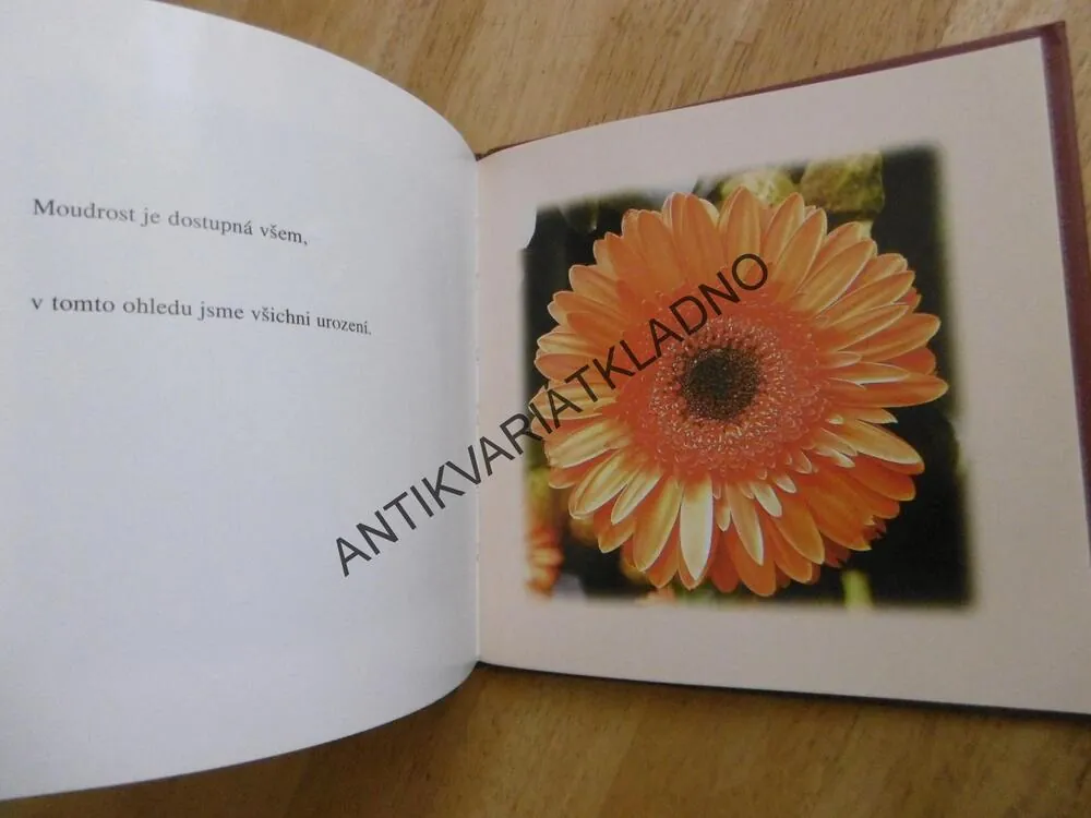 NESMRTELNÉ IDEJE, LUCIUS ANNAEU SENECA, **an