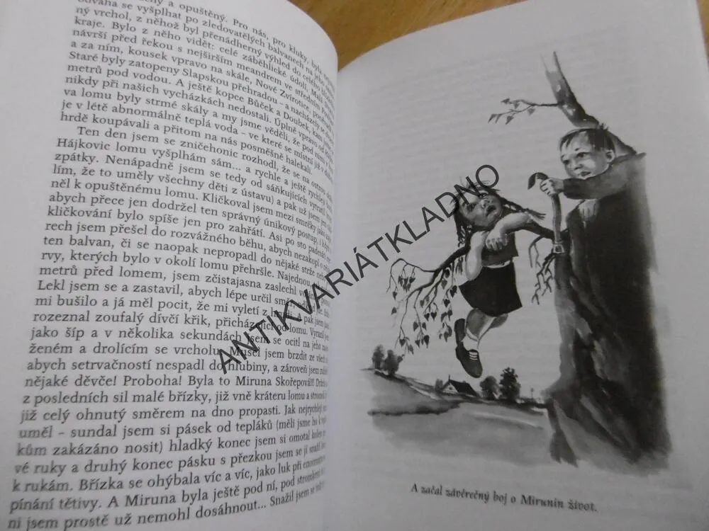 ZTRACENÍ PARCHANTI, JIŘÍ REZEK, **an