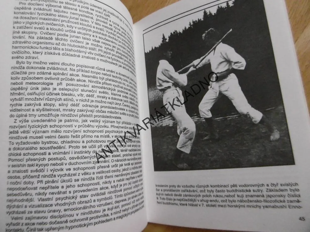 TAJEMNÍ NINDŽOVÉ, ŠREIER, MÁDL, VÁGNER,