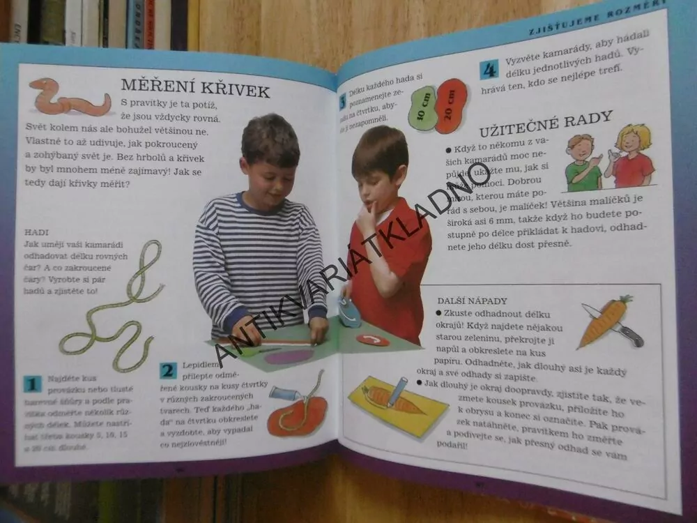 CO DOKÁŽU S MATEMATIKOU II., ŘEŠENÍ PROBLÉMŮ, PROJEKTY, HRY, 8-11 LET
