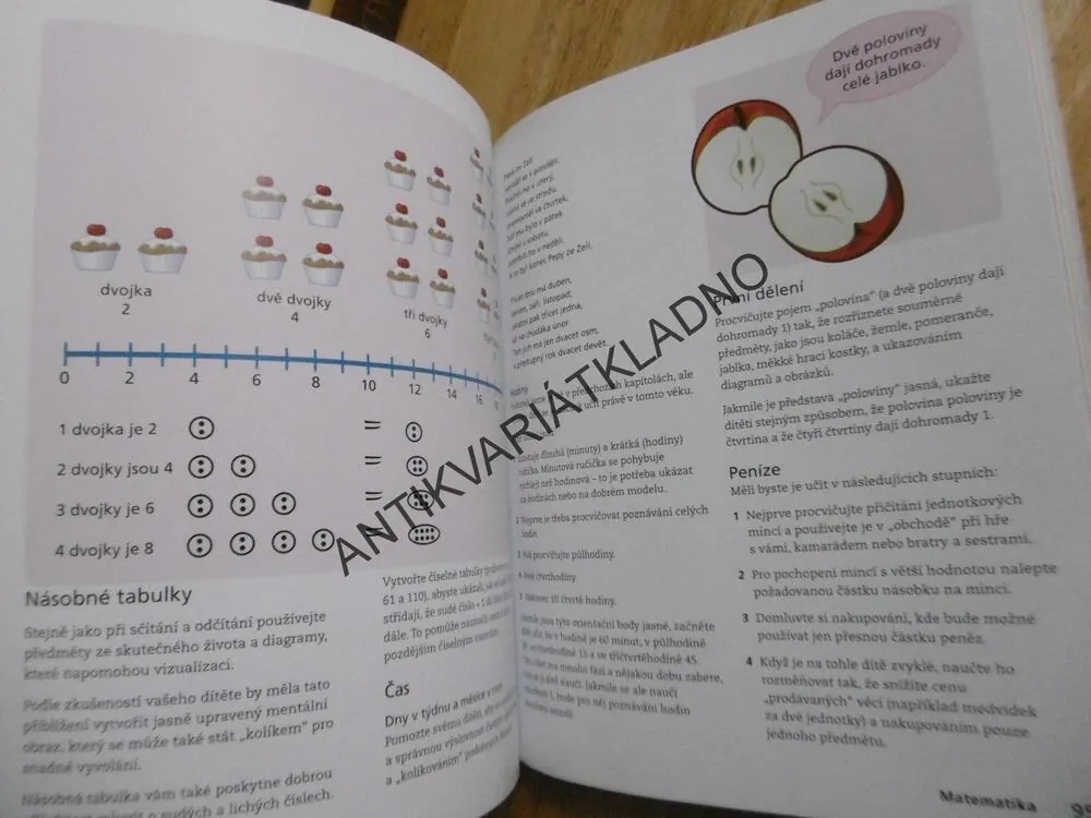 VYCHOVEJTE SI GÉNIA, ZÁBAVNÉ ČINNOSTI PODPORUJÍCÍ ROZVOJ MYŠLENÍ DĚTÍ OD 0 DO 11 LET,KEN ADAMS
