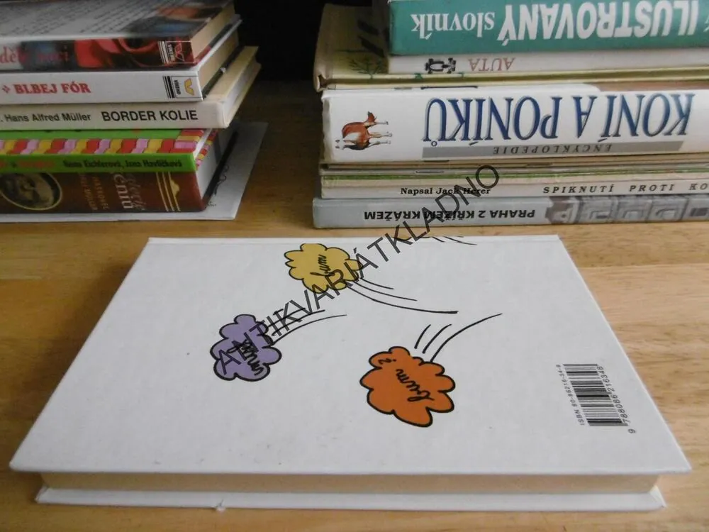 VÝBUCH BUDE V ŠEST, ALENA VOSTRÁ, JIRÁNEK, 2003