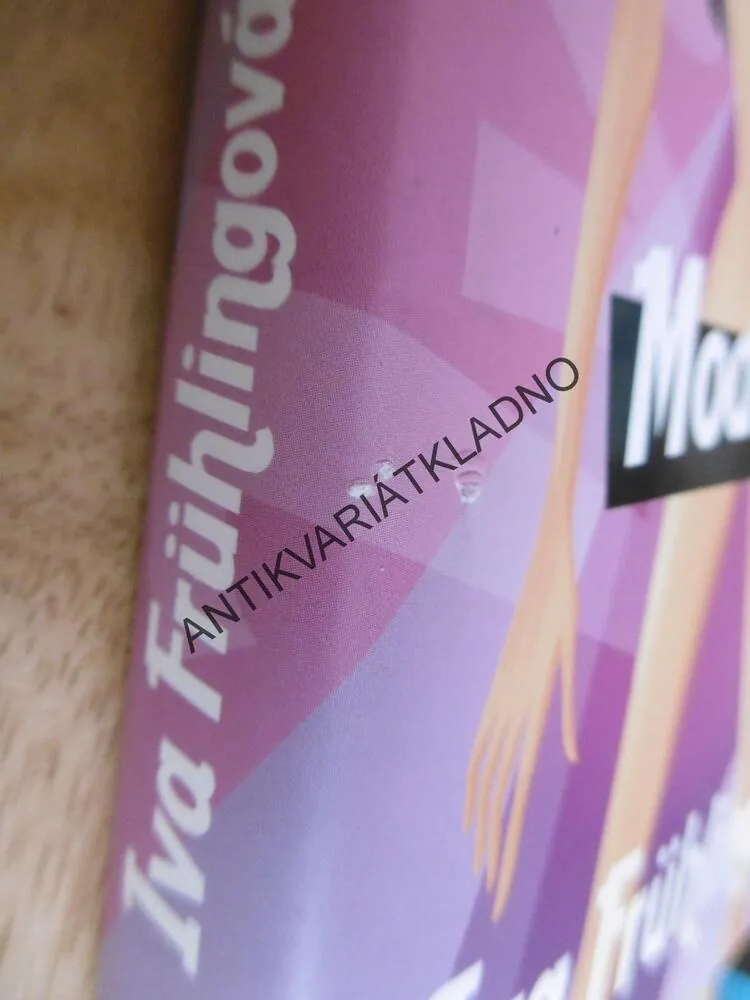 PŘÍBĚHY MODELEK, IVA FRÜHLINGOVÁ, **an