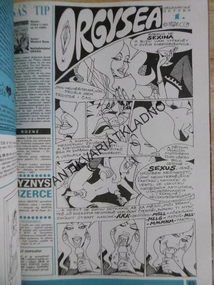 EROTIC MAGAZÍN PRO MUŽE I ŽENY 1/1995