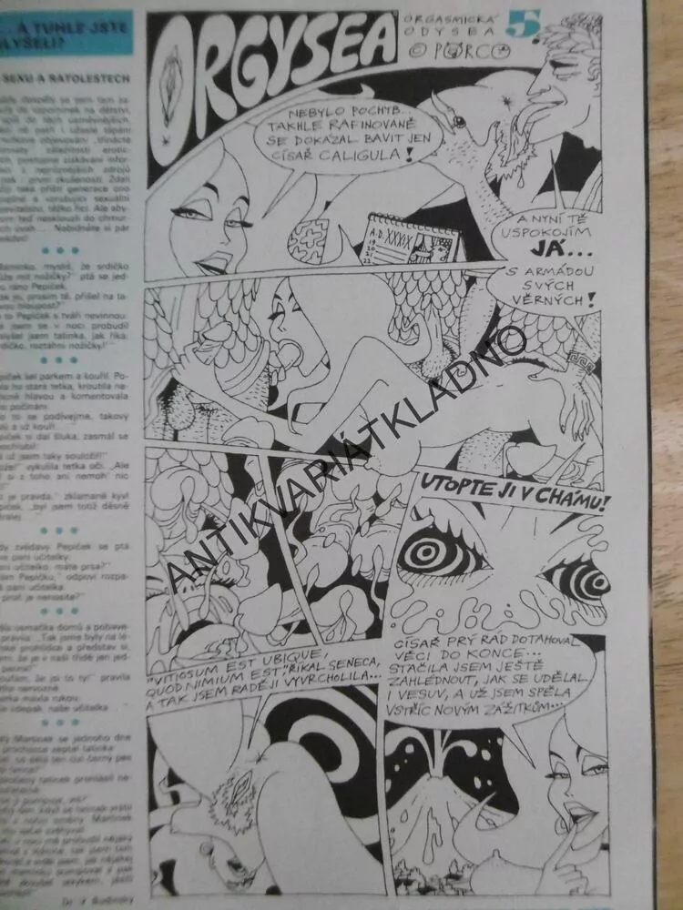 EROTIC MAGAZÍN PRO MUŽE I ŽENY 5/1995