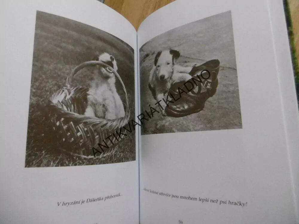 DÁŠENKA, ČILI ŽIVOT ŠTĚNĚTE, KAREL ČAPEK, 2012, **an