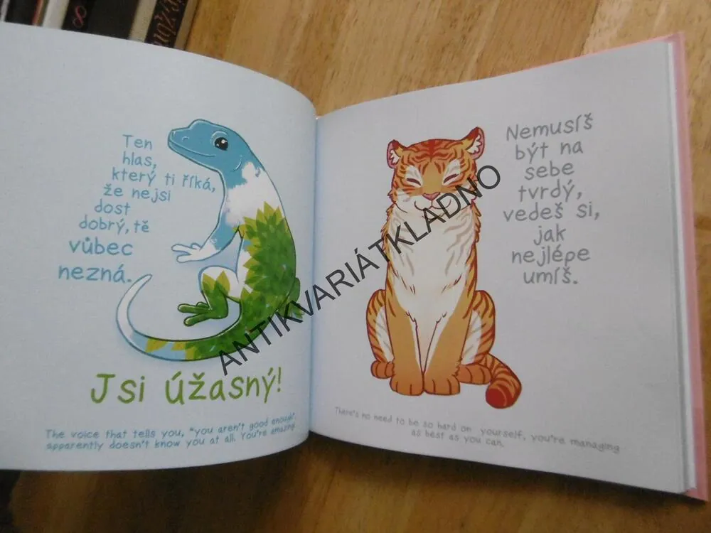 ZVLÁDNEŠ TO..., OKAMŽITÉ POVZBUZENÍ PŘI SMUTKU A OBAVÁCH, KATE ALLAN, **an