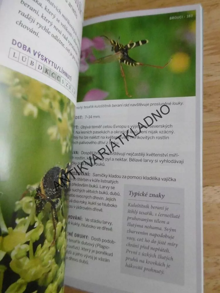 HMYZ, PRŮVODCE PŘÍRODOU