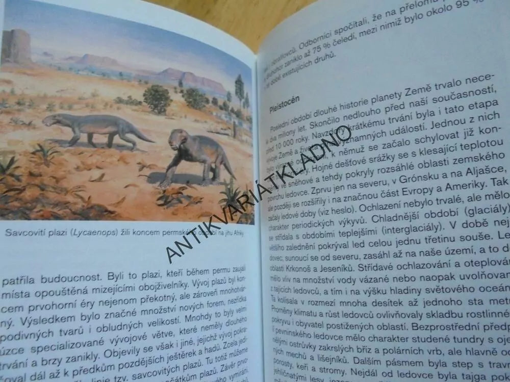 ABECEDA DÁVNÝCH VĚKŮ, BOŘIVOJ ZÁRUBA, PREHISTORIE