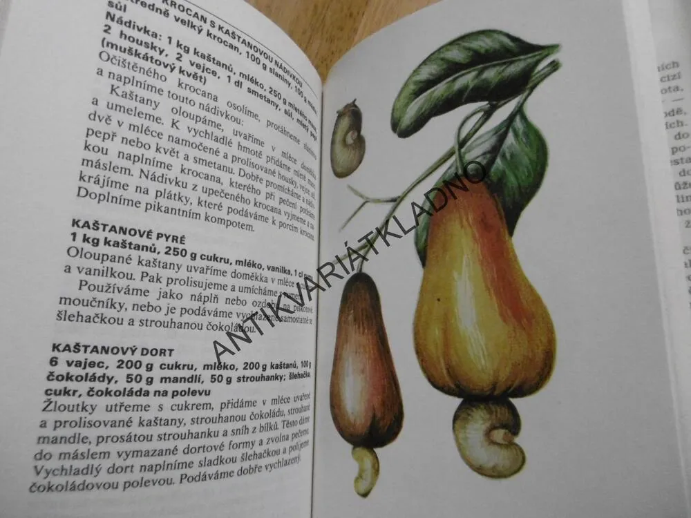 VITAMÍNY Z DOMOVA I Z DALEKA, KUCHAŘKA, RECEPTY,DAGMAR LÁNSKÁ, BOHUMÍR HLAVA, 1982, NEPRAKTA, **an