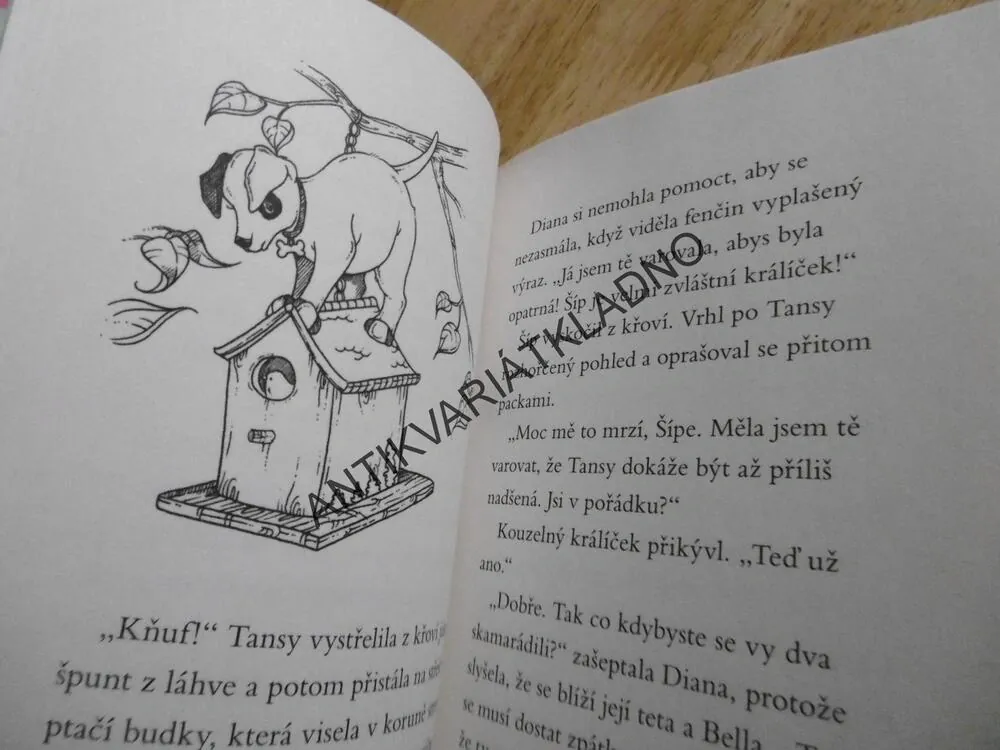 KOUZELNÝ KRÁLÍČEK, STRÁŽCE KLÍČE, SUE BENTLEYOVÁ, **an