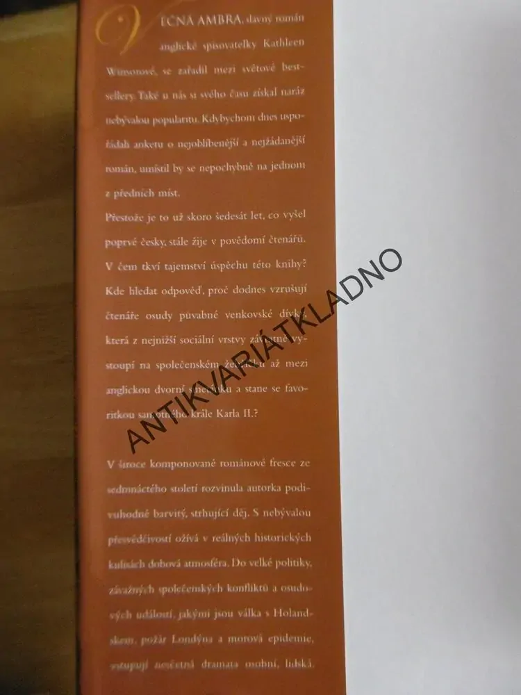 VĚČNÁ AMBRA, KATHLEEN WINSOROVÁ, **an