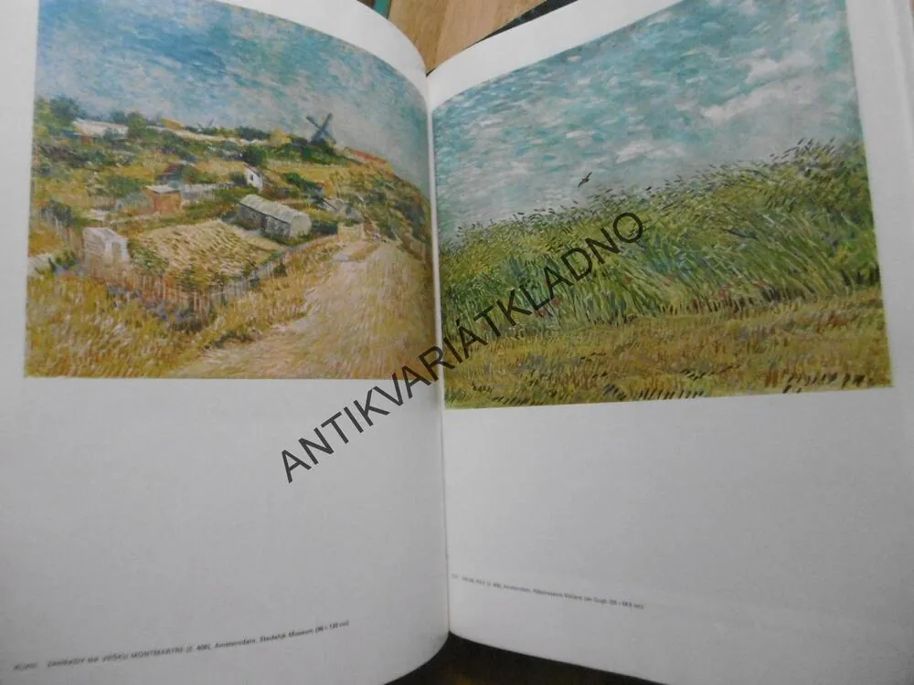 VINCENT VAN GOGH, 1-2, VÝTVARNÉ UMĚNÍ, **an