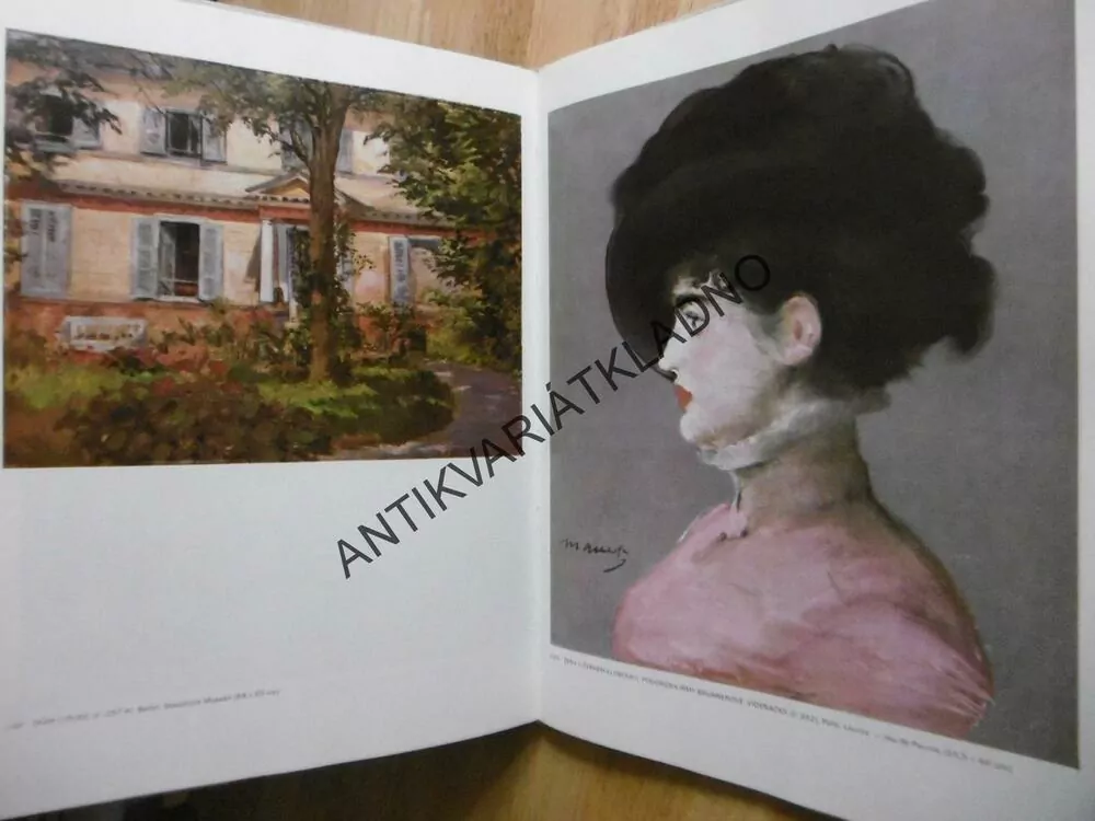 EDOUARD MANET, DENIS ROUART, SANDRA ORIENTIOVÁ, **an