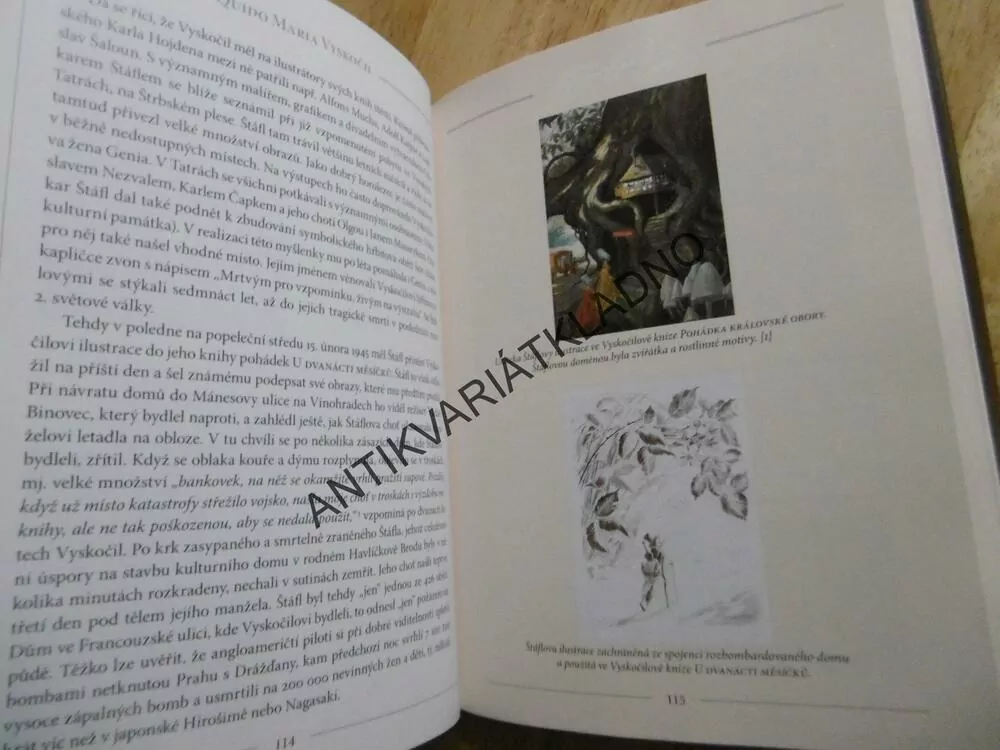 DVANÁCT OSUDŮ DVOU STALETÍ, JOSEF FRYŠ, **an