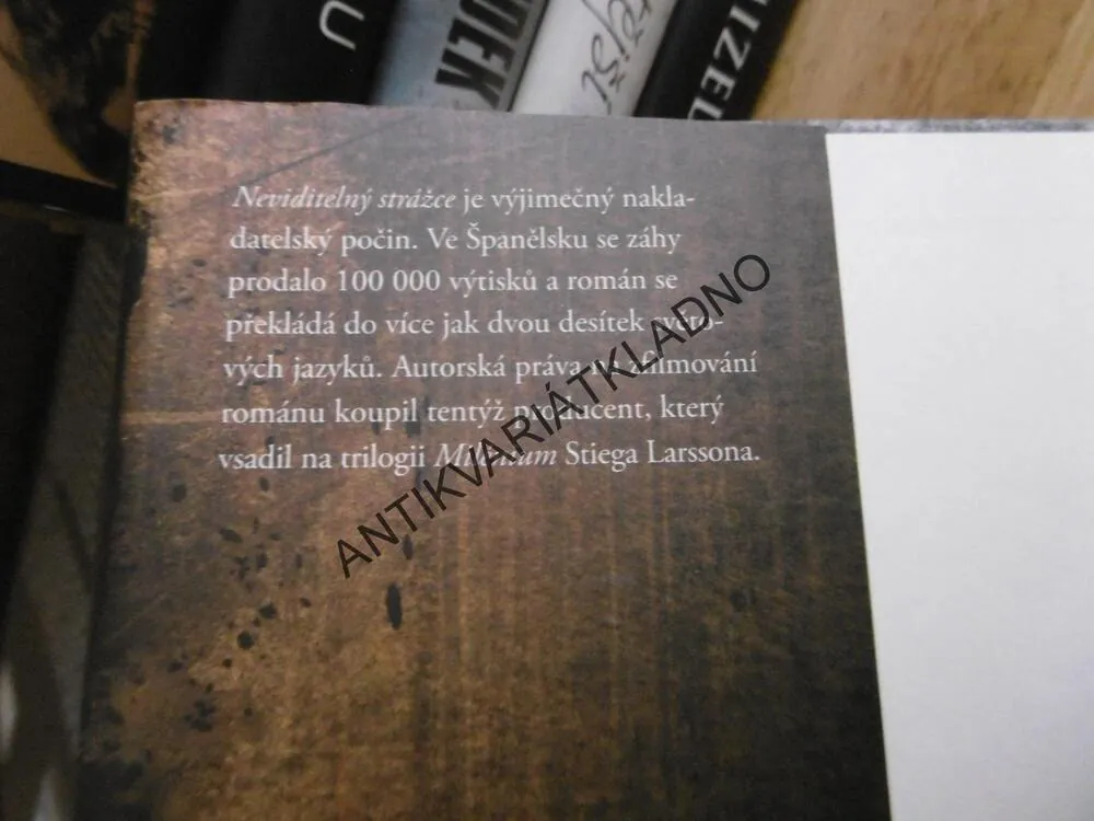 NEVIDITELNÝ STRÁŽCE, DOLORES REDONDO, **an