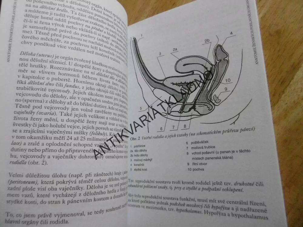 GYNEKOLOGICKÉ PROBLÉMY U DĚVČÁTEK A DOSPÍVAJÍCÍCH DÍVEK, JAN HOŘEJŠÍ, DOSPÍVÁNÍ, KNIHA PRO RODIČE, **an